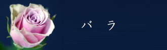 �Х�β�«�ϲֲ�������