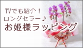 �ե�����å�ǵ�ں䡡��ɱ�ͥ�åԥ�