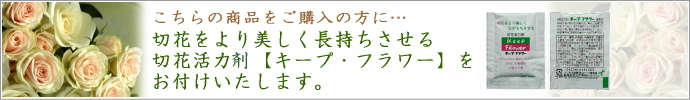 �ڲֳ��Ϻޡ������ץե����դ��������ޤ���