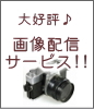 �ե�����å�ǵ�ں䡡�����ۿ������ӥ�