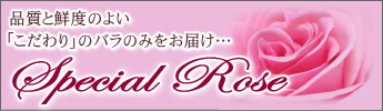 �ե�����å�ǵ�ں䡡�������ΥХ�