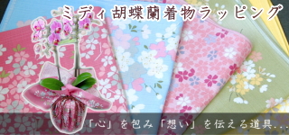 �ߥǥ���ĳ����ʪ��åԥ�