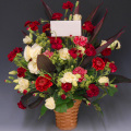 ���֥���󥸡ڥ�åɷϡ�&���ڥ���륫����