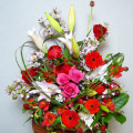 L-DFA-Scarlet-060.jpg