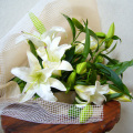 L-FB-Lily-032.jpg