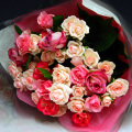 �Х�β�«�ڥǥ����ʡ��ˤ��ޤ����� [����̵��]