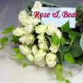 �Х�β�«�ڥۥ磻�ȷϡۡ������ޡ��ƥǥ����٥�