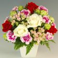 �ڥǥ����ʡ������쥯������ �ܤ����֥���󥸥��ȡڽ�����