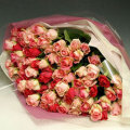 rose02.jpg