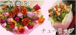 ����β֡����塼��å�