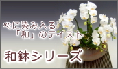 �ե�����å�ǵ�ں䡡��ȭ���꡼��