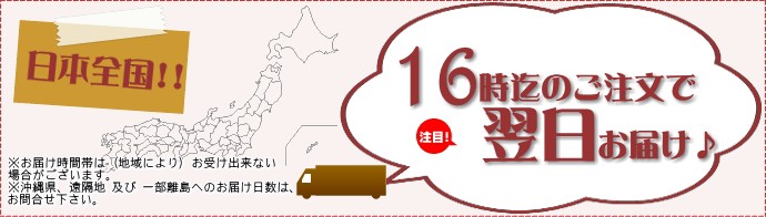 16���ޤǤ���ʸ��������ã��