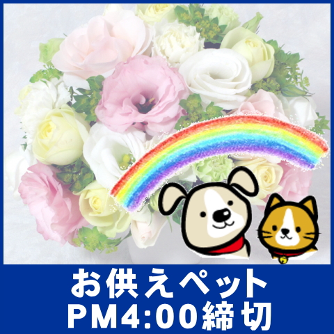 翌日配達　お供えペット