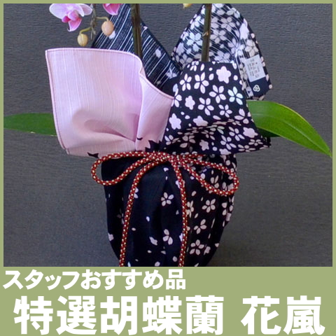 花嵐