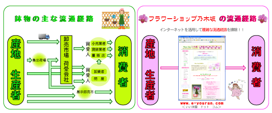 鉢物の流通経路 と フラワーショップ乃木坂の独自流通経路