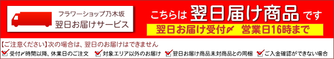 16時までのご注文で最速翌日お届け