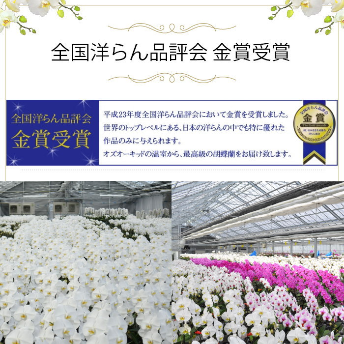 確かな品質は受賞歴の多さ