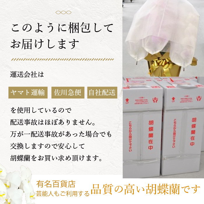このように梱包してお届けします