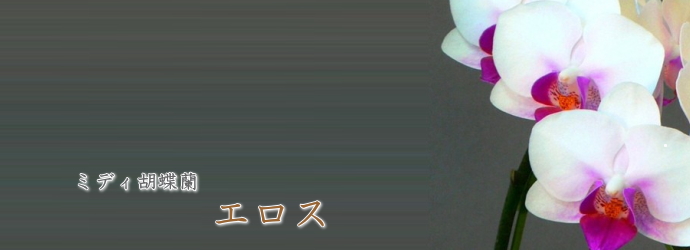 エロス