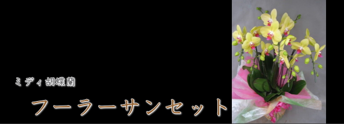 フーラーサンセット