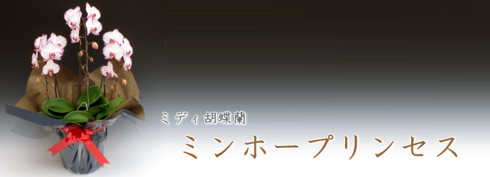 ミンホープリンセス
