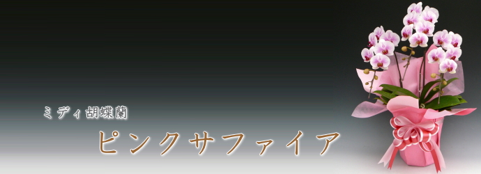 ピンクサファイア
