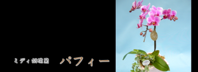 パフィー