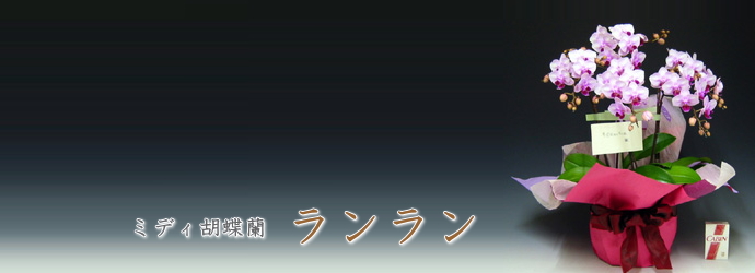 ランラン
