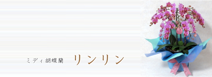 リンリン