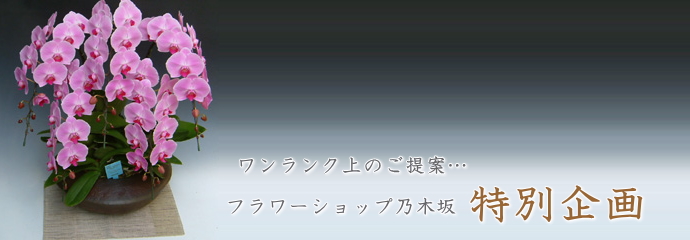 フラワーショップ乃木坂　特別企画　のご案内