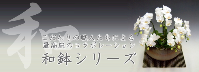 和鉢シリーズ