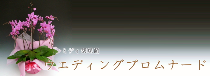 ウエディングプロムナード