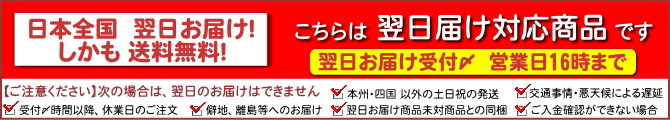 翌日お届け商品　16時までのご注文