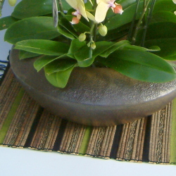 和仕立てに使われている和鉢