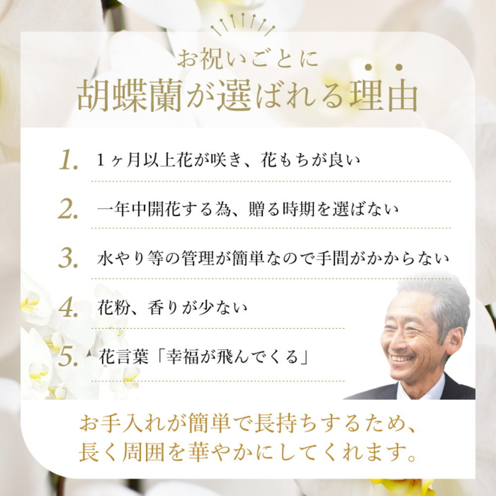 お祝い事に胡蝶蘭が選ばれる理由