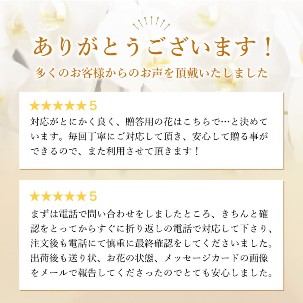 多くのお客様からのお声を頂戴いたしました