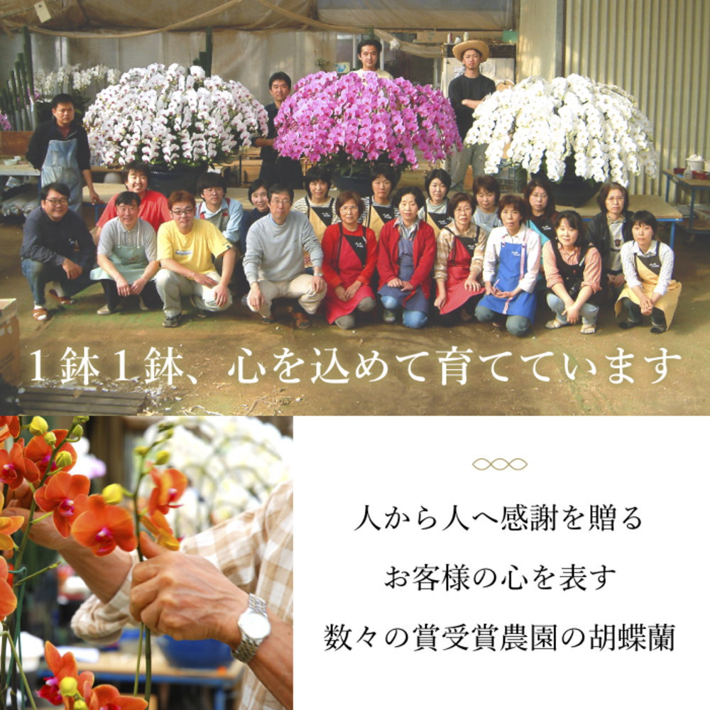 1鉢1鉢心を込めて育てています