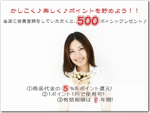 500ポイント進呈