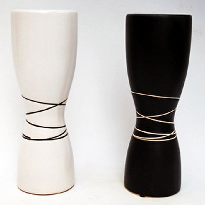 ミディ 胡蝶蘭 お祝い かぐや アマビリス 2本立ち 白 小輪系 森田洋蘭園 ギフト